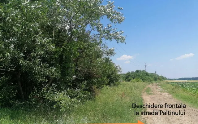 Teren intravilan construibil 500 mp Tintea Baicoi