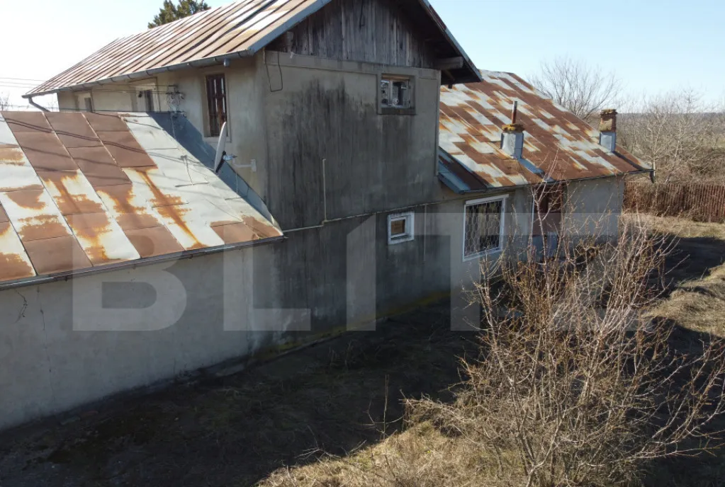 Business Agro Industrial 8 032 mp Curti Constructii 13