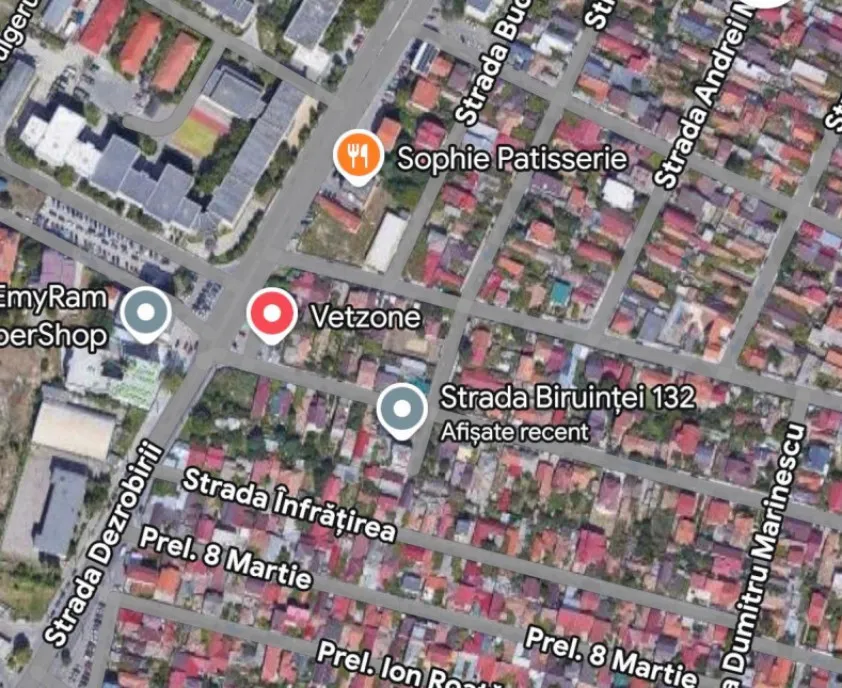 Casa demolabila sau renovabila de vanzare in Coiciu Aca