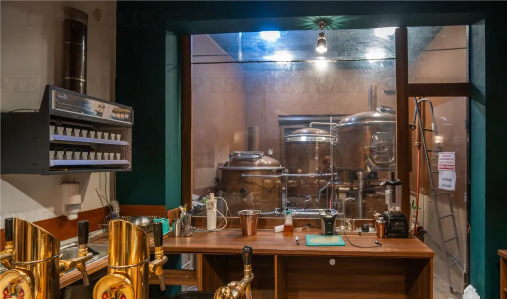 Proprietate Piata Unirii teren 1000mp 2 constructii