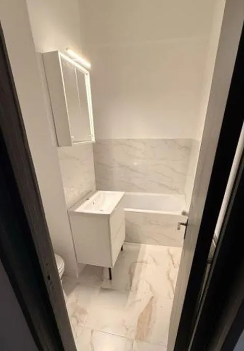 Dimitrie leonida drumul fermei studio