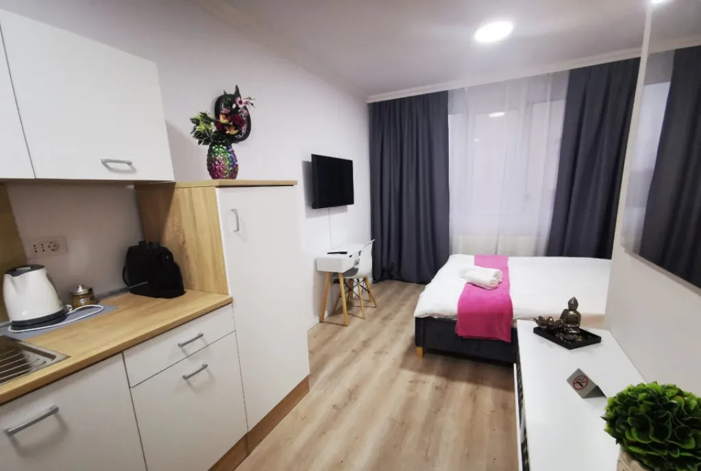 Garsoniera Calea Lipovei