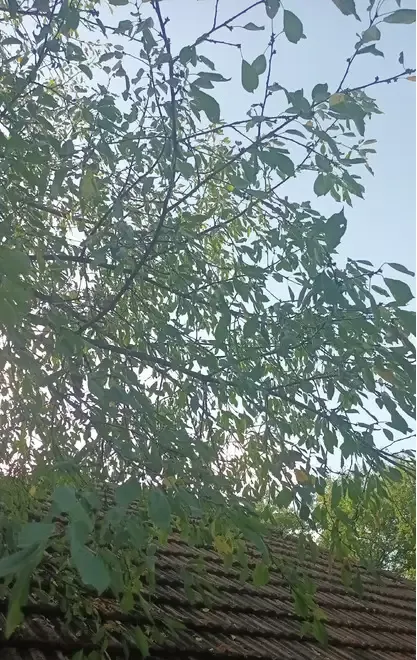 Vanzare teren sat Podu Muncii