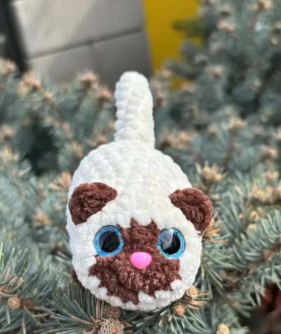 Pisicuta crosetata manual