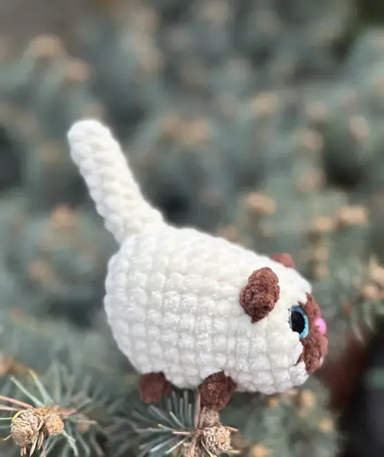 Pisicuta crosetata manual