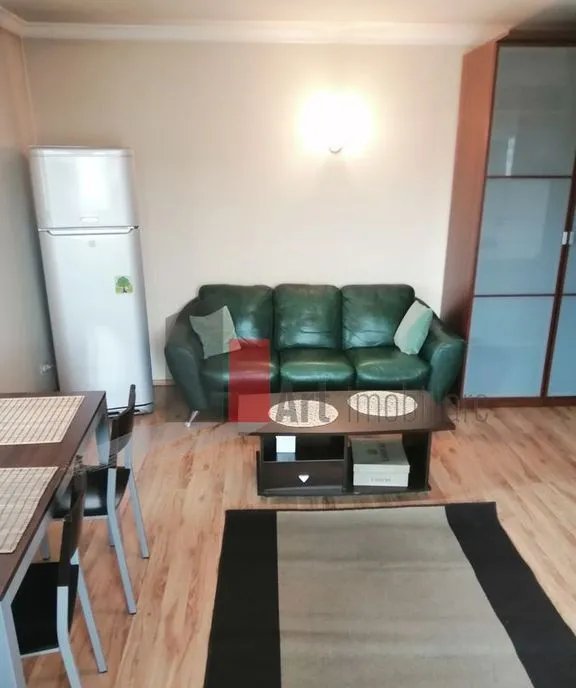 Garsoniera Unirii Octavian Goga