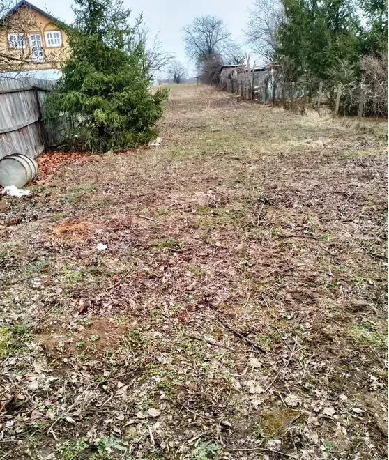 Teren lipia ilfov intravilan langa padure 4400mp