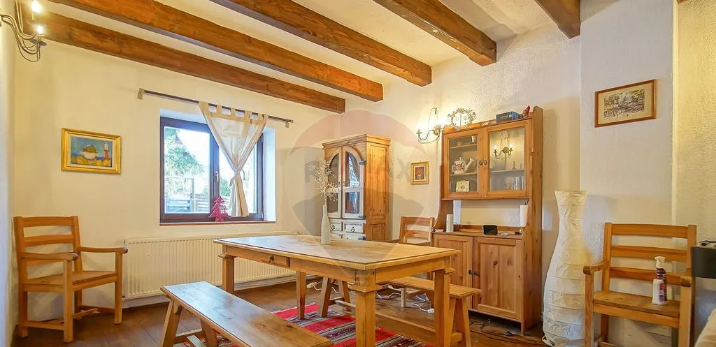 Vila istorica proiectata de arhitectul Emil Nadejde