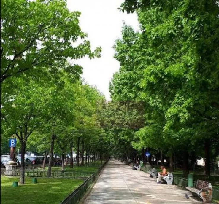 Vanzare apartament de 3 camere bd Unirii vedere bulevard