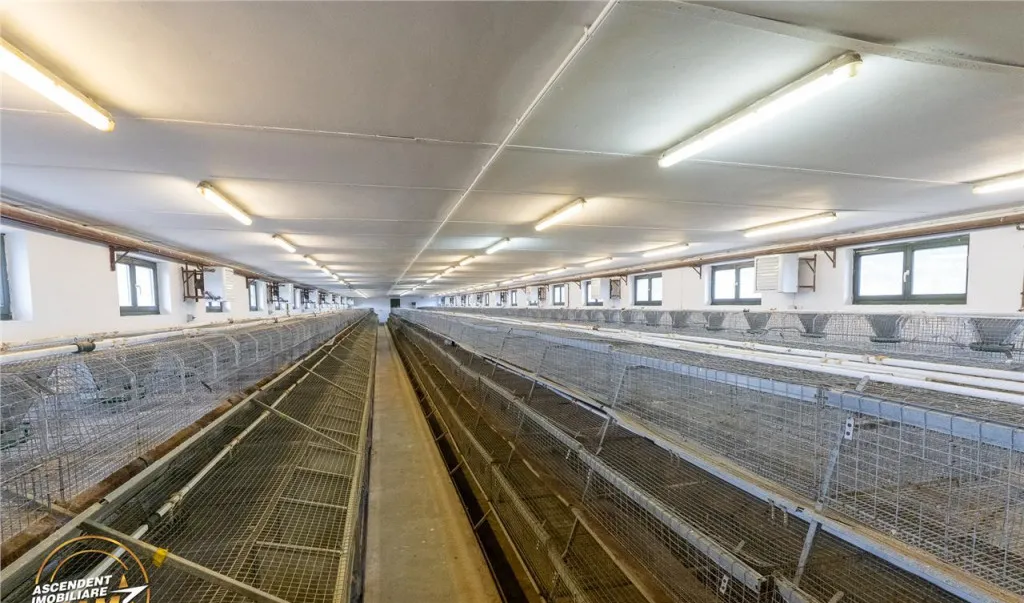 Film Ferma de iepuri Malnas Covasna domeniu industrial com