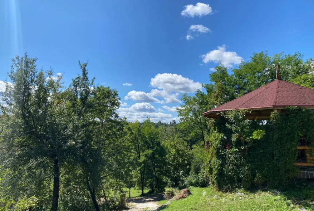 Domeniu exclusivist 17 000 mp Vila luxury cu piscina S