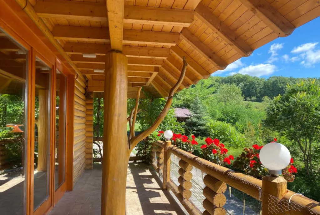 Domeniu exclusivist 17 000 mp Vila luxury cu piscina S