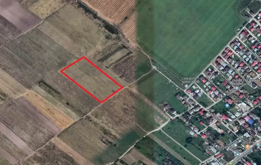 Teren intravilan comercial Afumati la nod