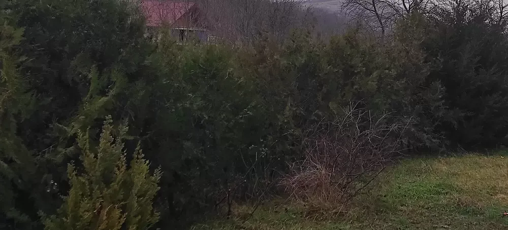 Teren intravilan Miroslava