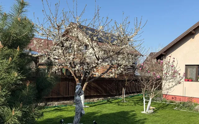 Casa individuala de vanzare