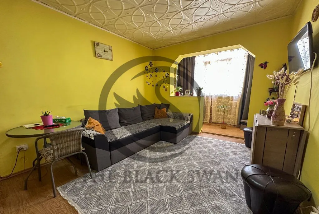 Apartament cu 3 camere de vanzare Mobilat Malu Rosu