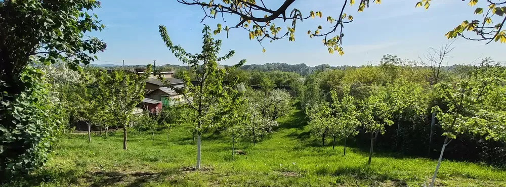 Casa P 1 3 dormitoare mansarda baie bucatarie