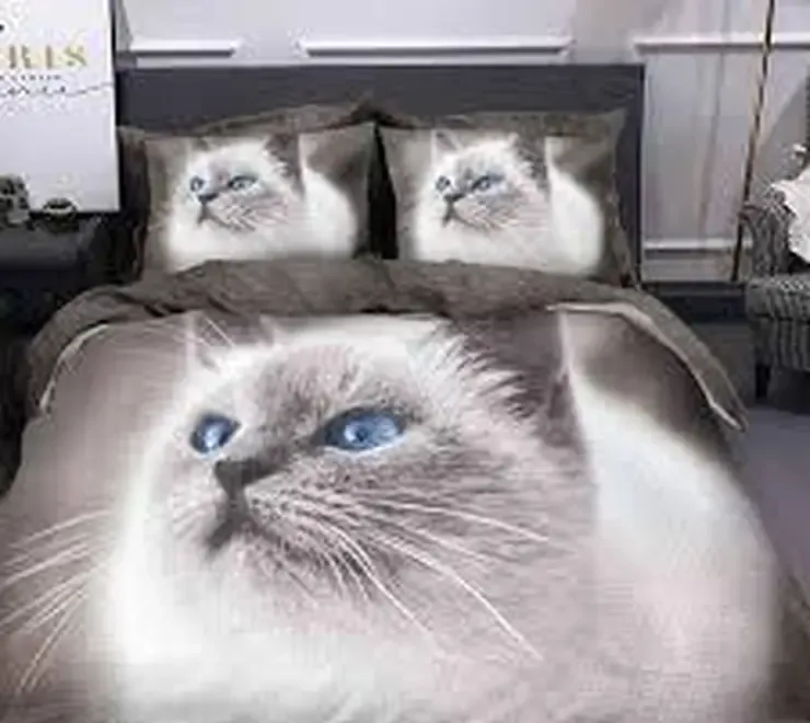 Lenjerie de pat asa cum ai visat