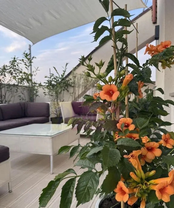 Apartament 3 camere cu terasa 133 mp Timpuri Noi