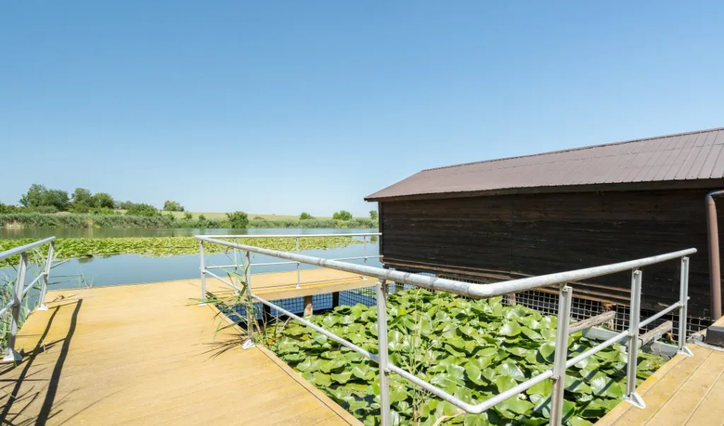 Vila cu piscina pe malul lacului Snagov Ciofliceni
