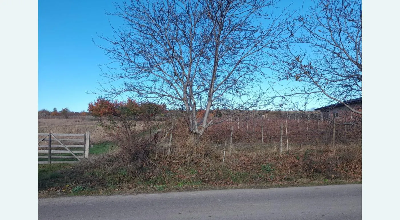 Teren INTRAVILAN - 3000m2