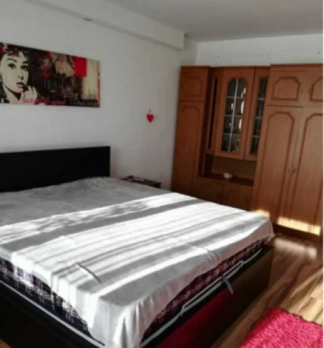 Apartament de 3 camere Florilor Craiter Boxa Centrala