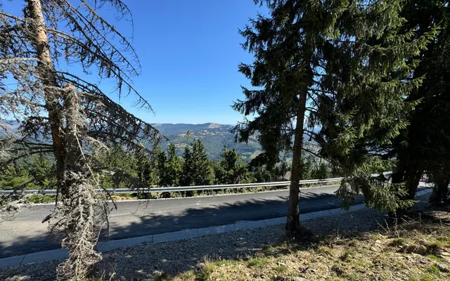 Teren de vanzare - zona turistica Sant Bistrita-Nasaud aproape de partie