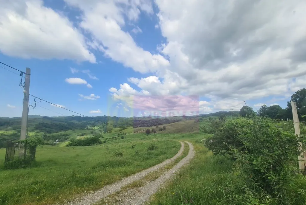 Apartament 2 camere etaj 2 de vanzare in Busteni