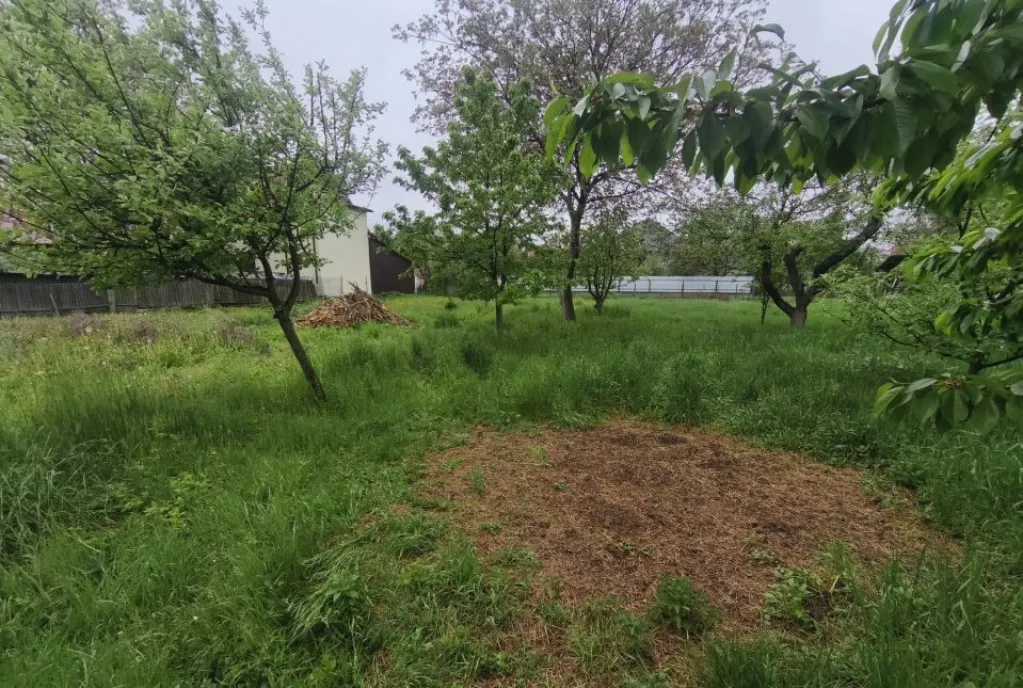 Casa teren 1767 mp zona Horea Radauti