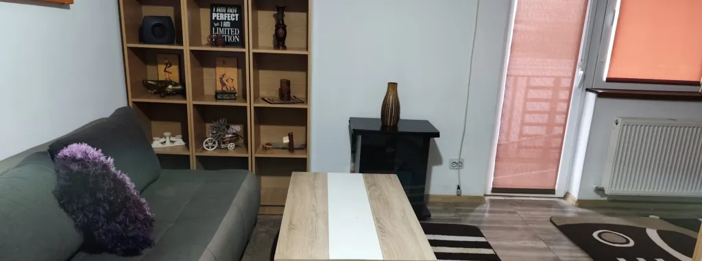 Berceni brancoveanu luica bloc nou