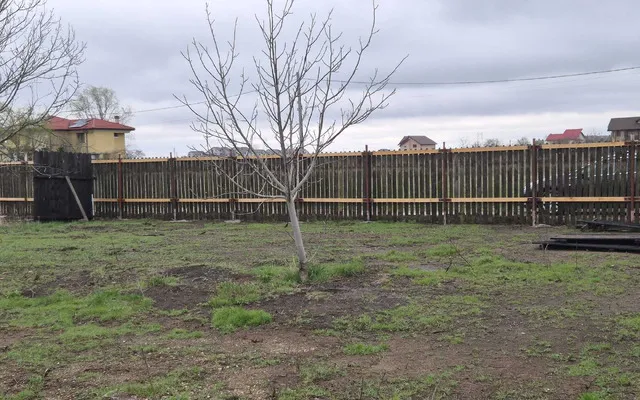 BUCURESTI/TARTASESTI Terenuri intravilan - INVESTITIE