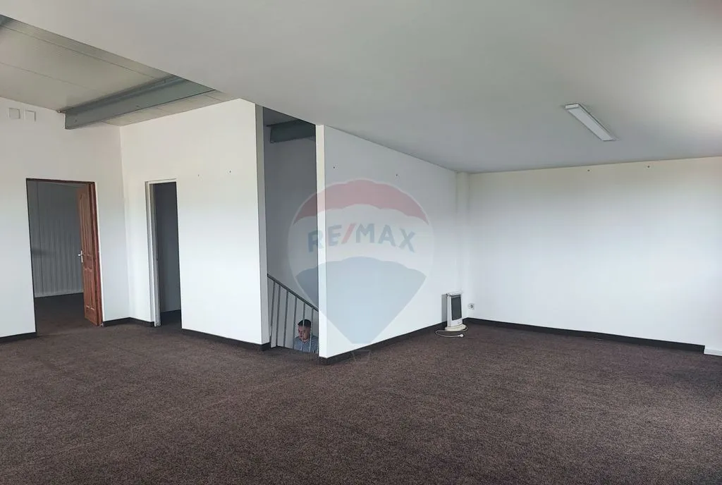 Hala Industriala Parcul Industrial Bors 2 De Vanzare