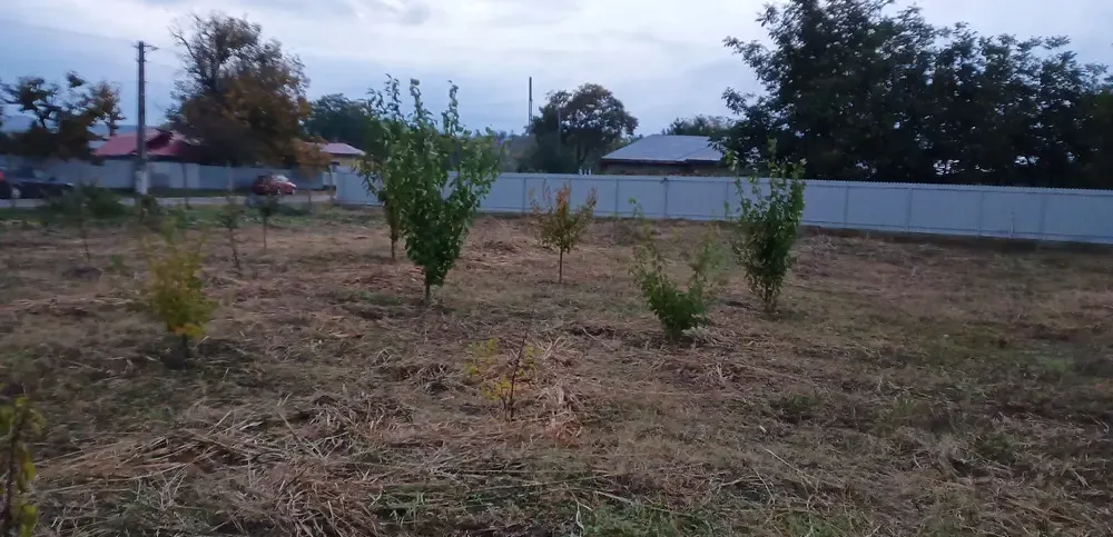 De vanzare teren intravilan