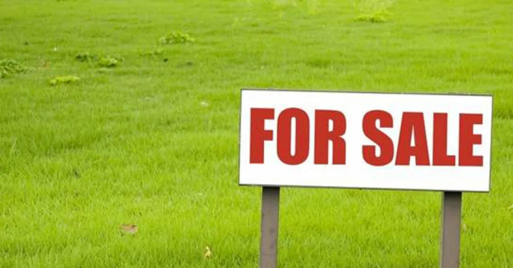 Afacere la cheie in Gheorgheni Randament 10