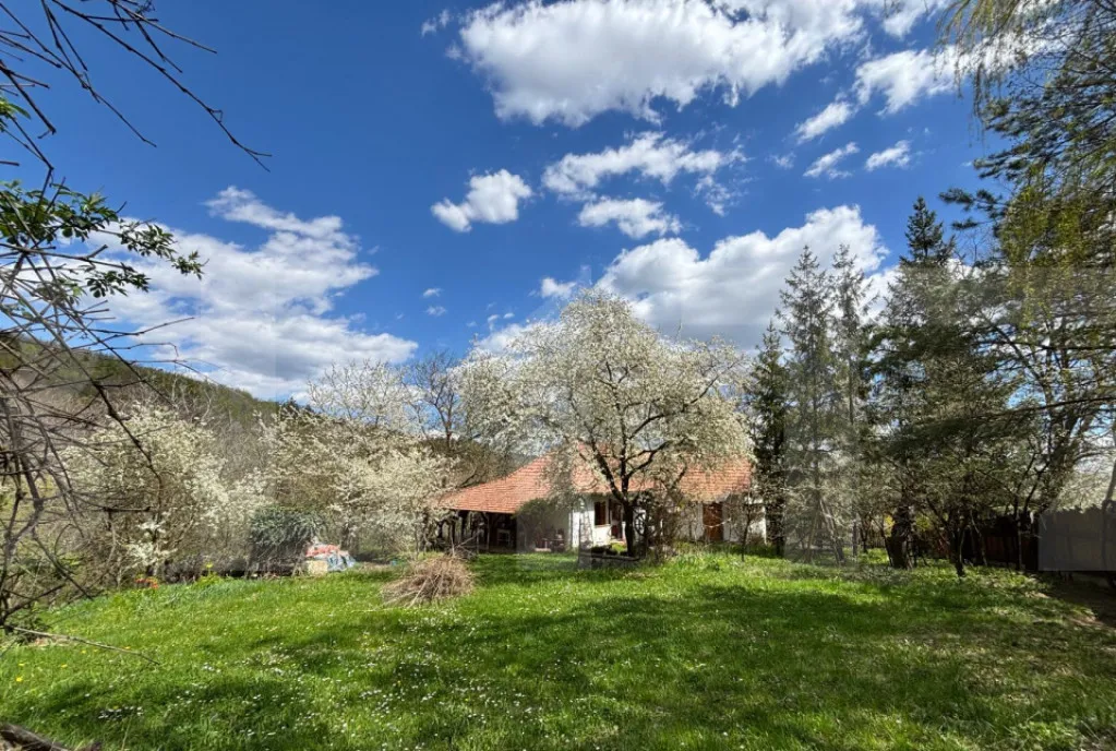 Casa rustica cu livada in Zalan com Bodoc jud Covas