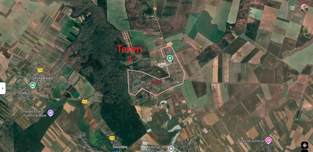 Refugiu la marginea padurii -- 2822 mp de liniste in Coc