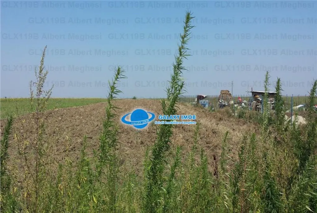 Vanzare Teren Intravilan 1430 mp Sat Izvoarele Hotarele