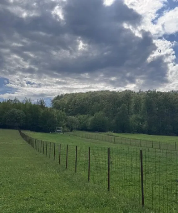 Apartament 3 camere 64 mp zona Prima Onestilor