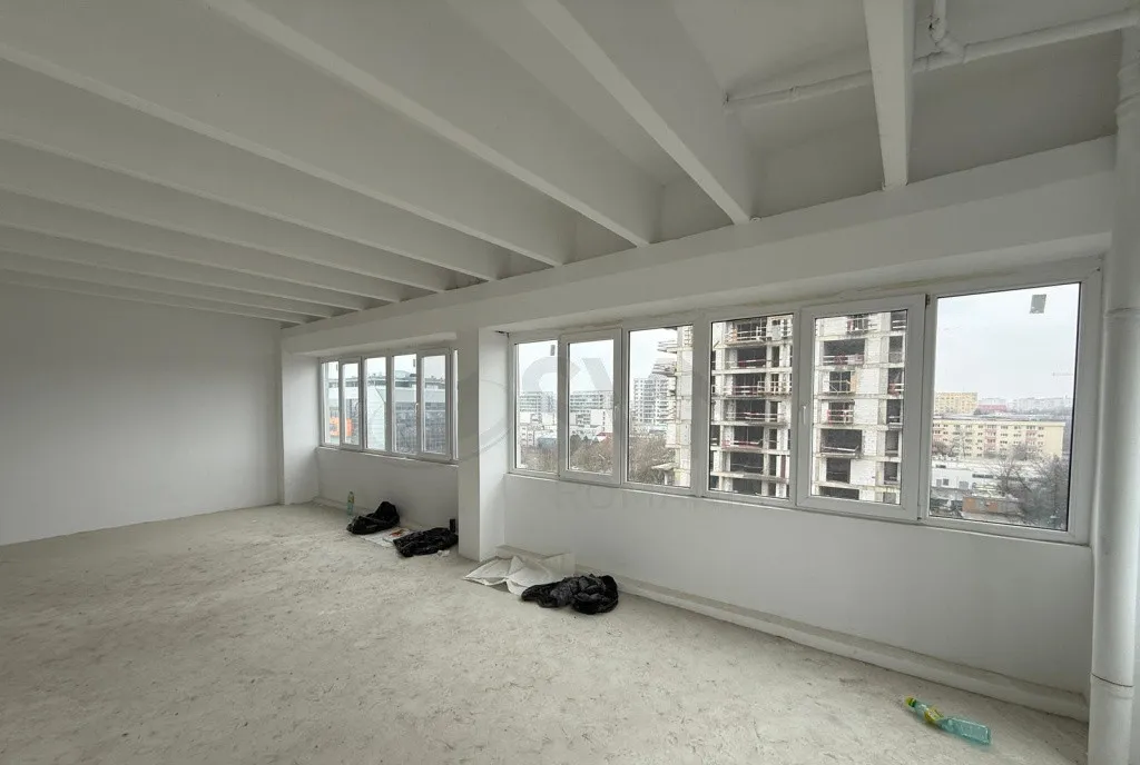 Spatiu Comercial ior Pallady 366mp