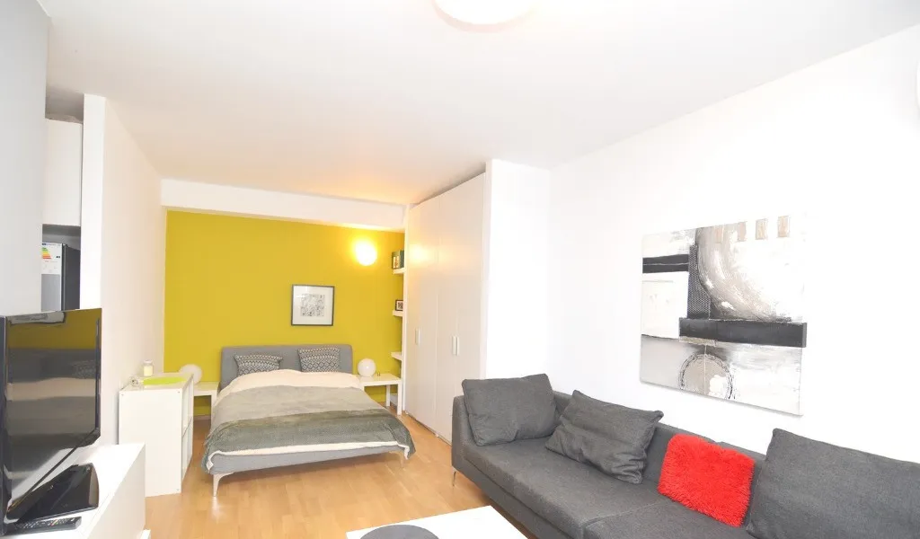 Studio Deosebit Baneasa Bd Apicultorilor Investitie