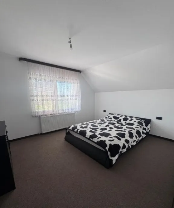 Casa cu 5 camere 450mp teren Satu Mare