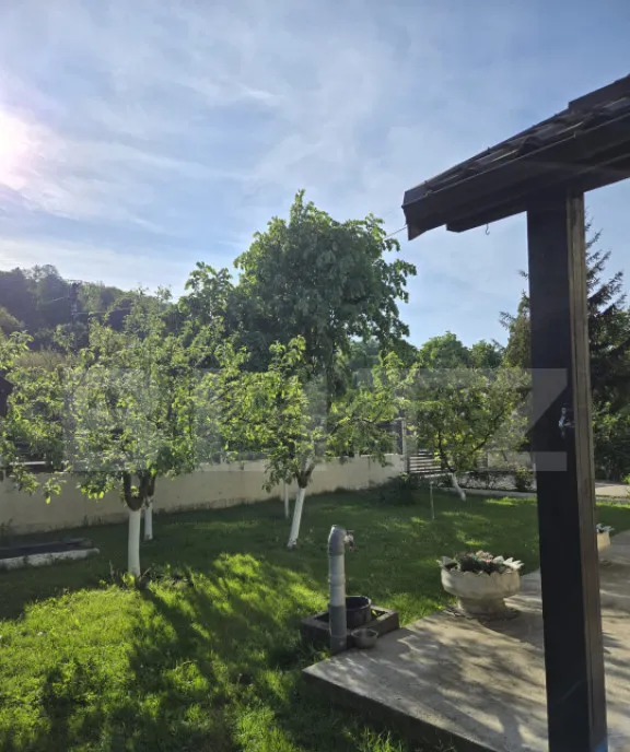 Iedera Moreni Casa individuala P 1 cu mansarda teren 6