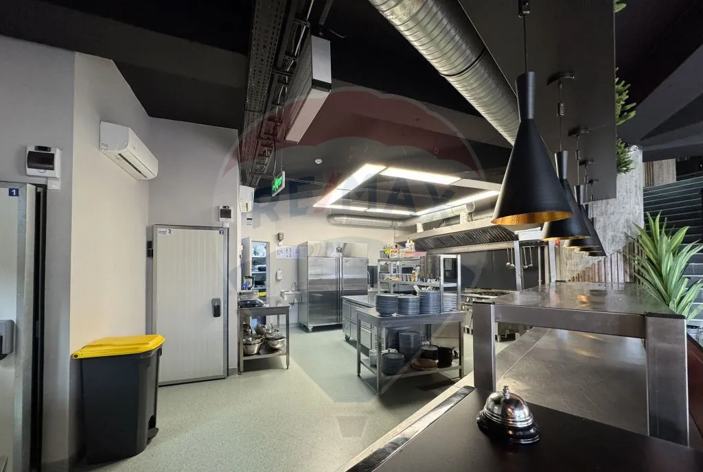 Spatiu comercial stradal I Restaurant la cheie I Baba Novac