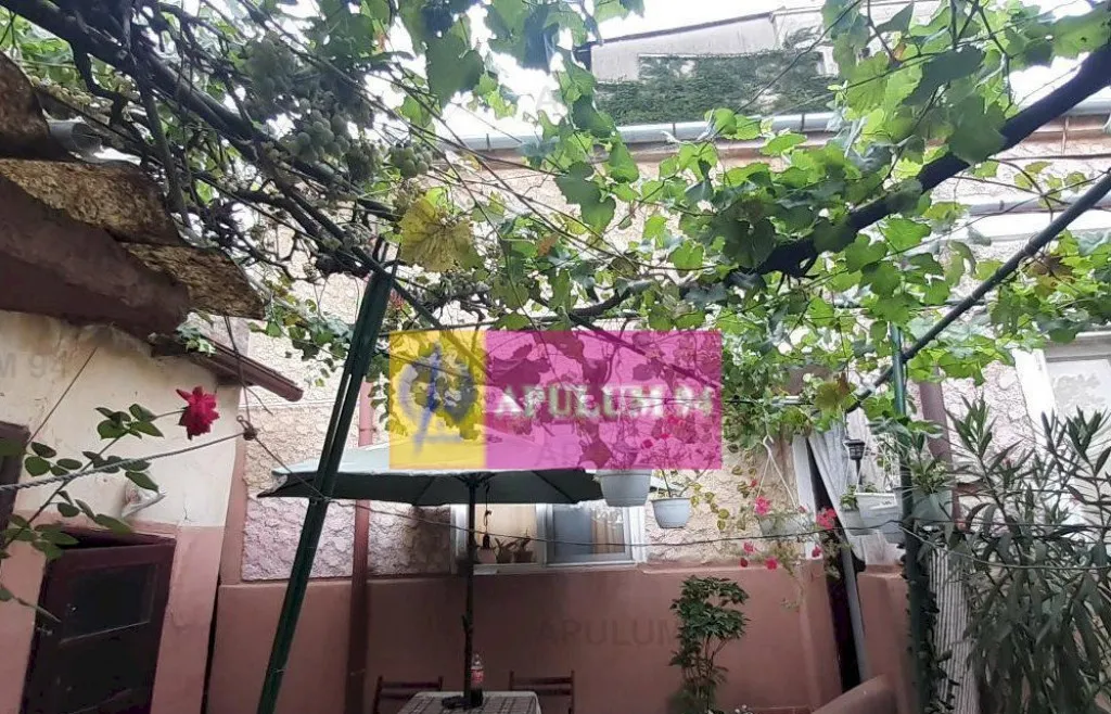 Casa Interbelica Ultracentral Popa Nan Piata Alba