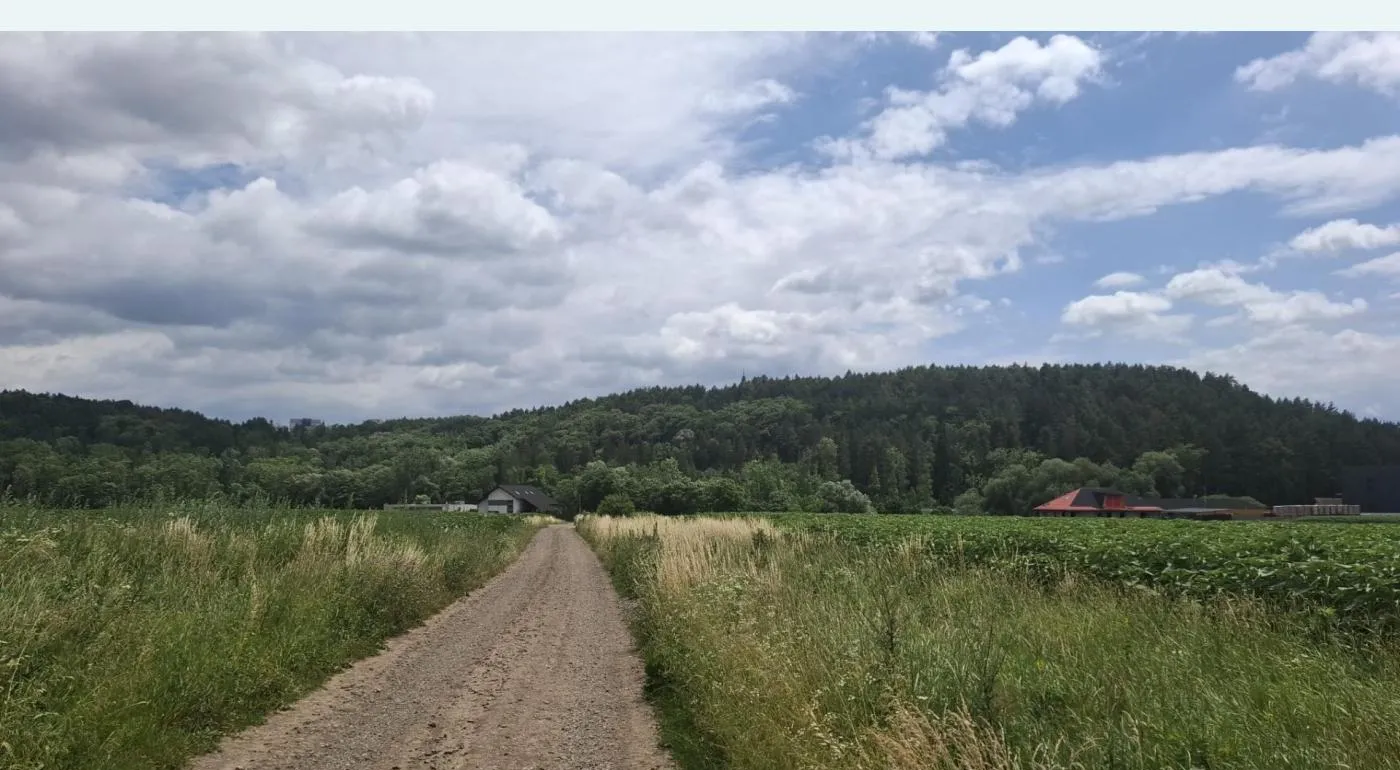 Teren de vanzare intr o zona foarte linistita