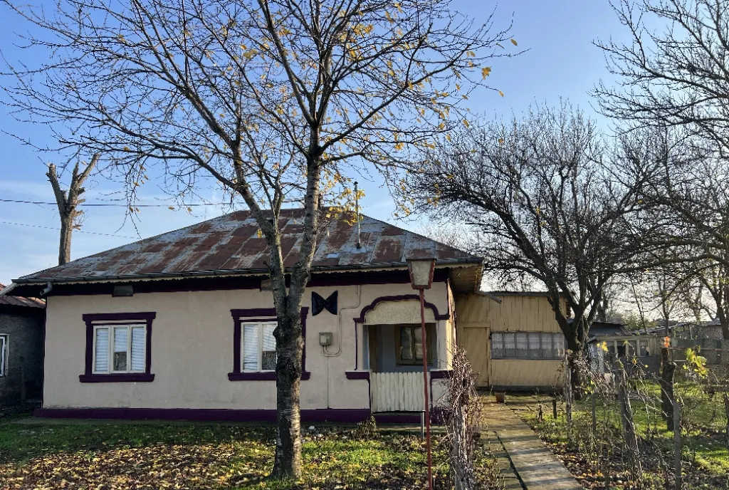 Imobiliare casa de vanzare Ulmeni Calarasi