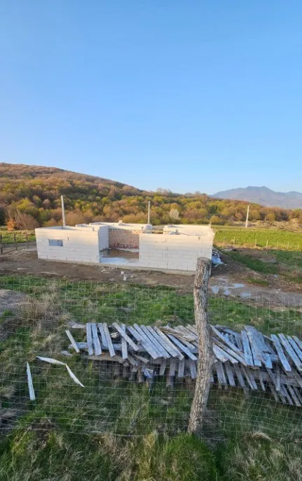Casa de vanzare la rosu Dumbrava Livezile Bistrita Nasaud