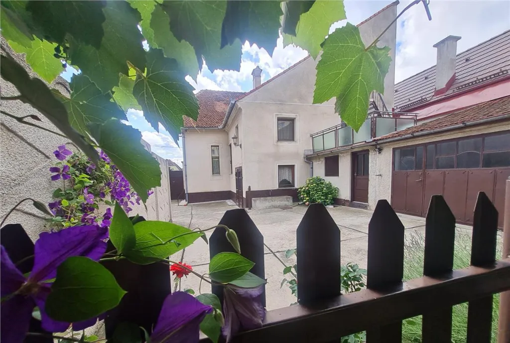Poveste saseasca la umbra vitei de vie cu crama gradina flor