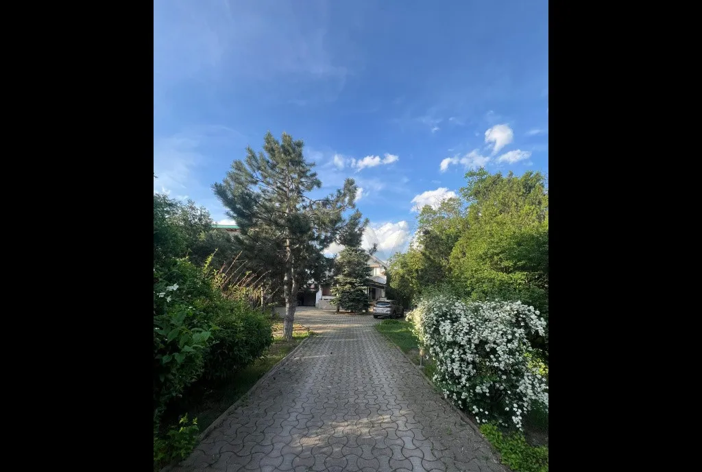 Damaroaia I Vila 570 mp I Teren 1900 mp