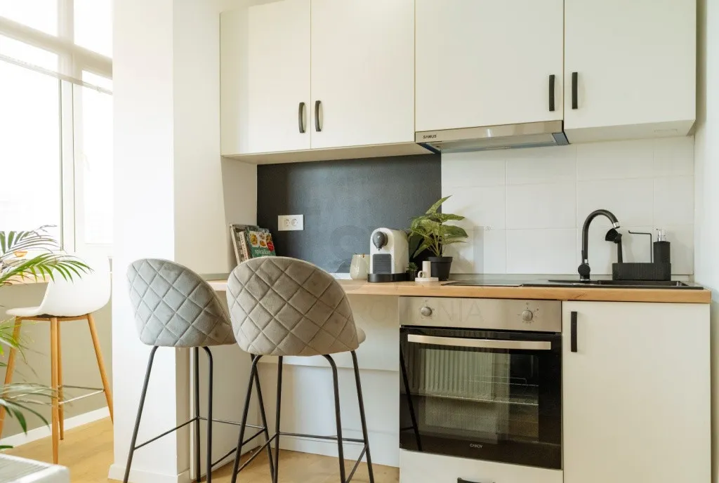 Doua Apartamente tip Studio l Sala Palatului I Investitie